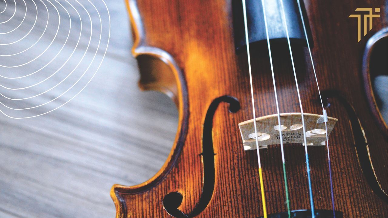 Close-up of a violin's body, bridge, f-hole and strings