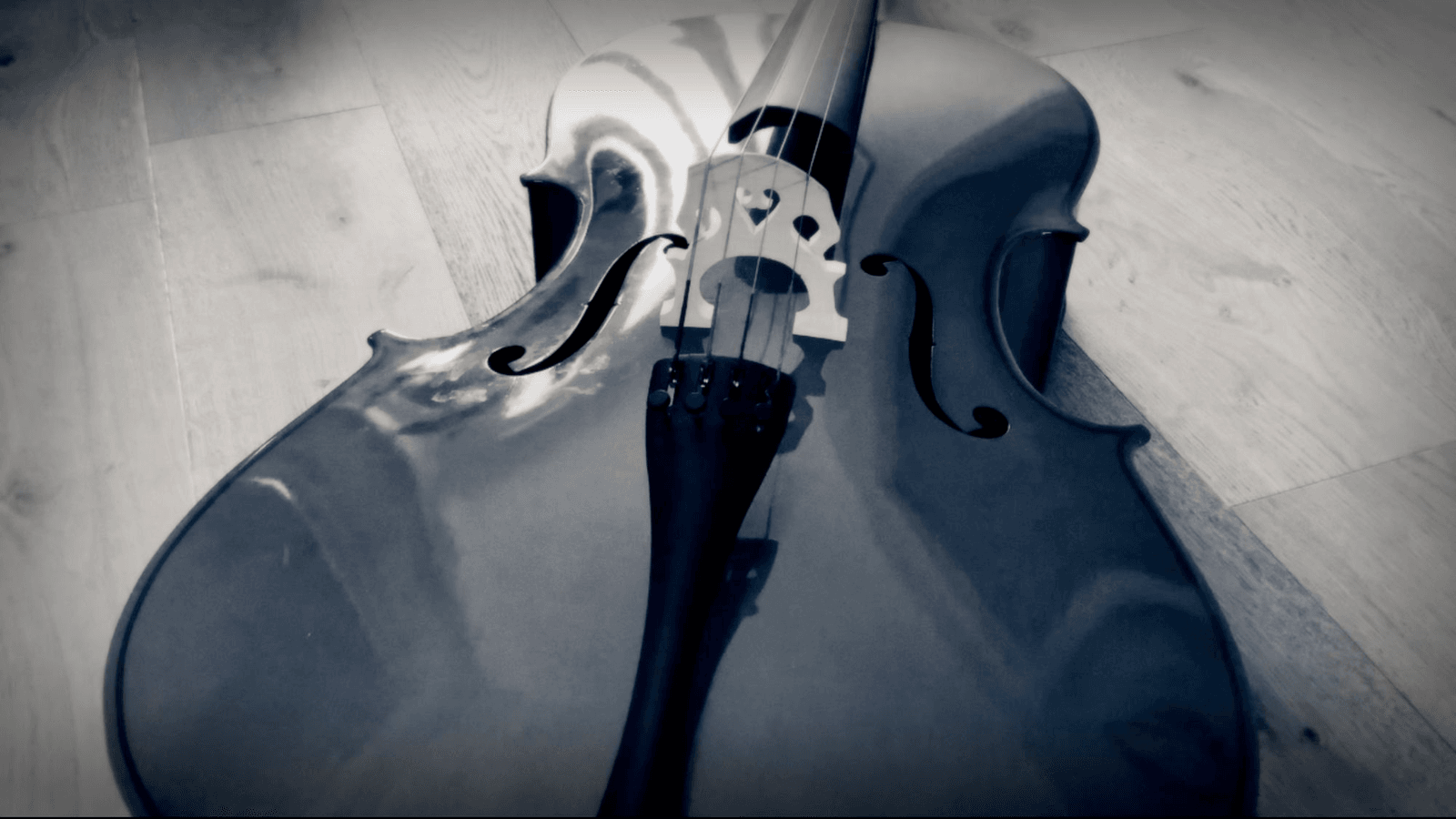 Richard Pryn's cello lying on a wooden floor, shown in a moody blue-tinted close-up