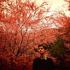 Mood board image: man standing in front of a tree covered in red blossom