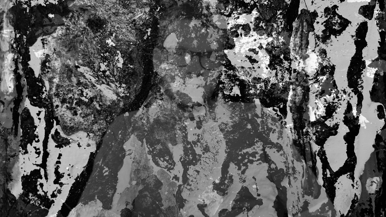 Faint portrait of a bearded man in glasses blended into a black and white abstract painted texture