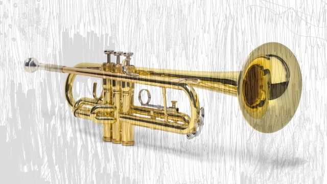The Trumpet - one of the instruments in the brass family